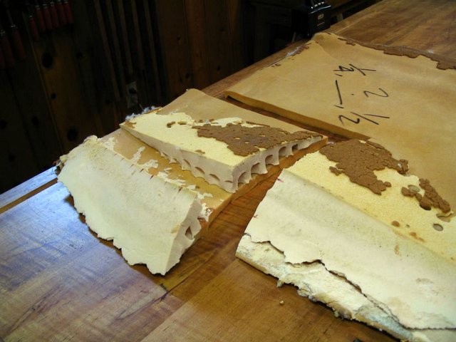 Old Back Foam Cut to Reveal Profiles